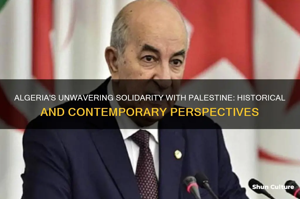 does algeria support palestine