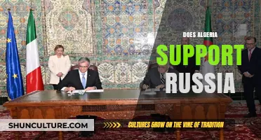 Algeria's Stance on Russia: Neutrality, Energy Ties, or Strategic Alliance?