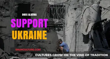 Algeria's Stance on Ukraine: Neutrality, Diplomacy, or Strategic Silence?
