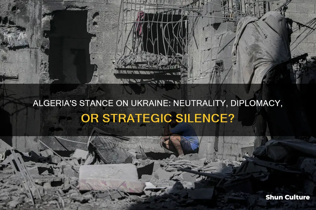 does algeria support ukraine