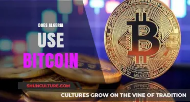 Does Algeria Embrace Bitcoin? Exploring Cryptocurrency Adoption and Regulations