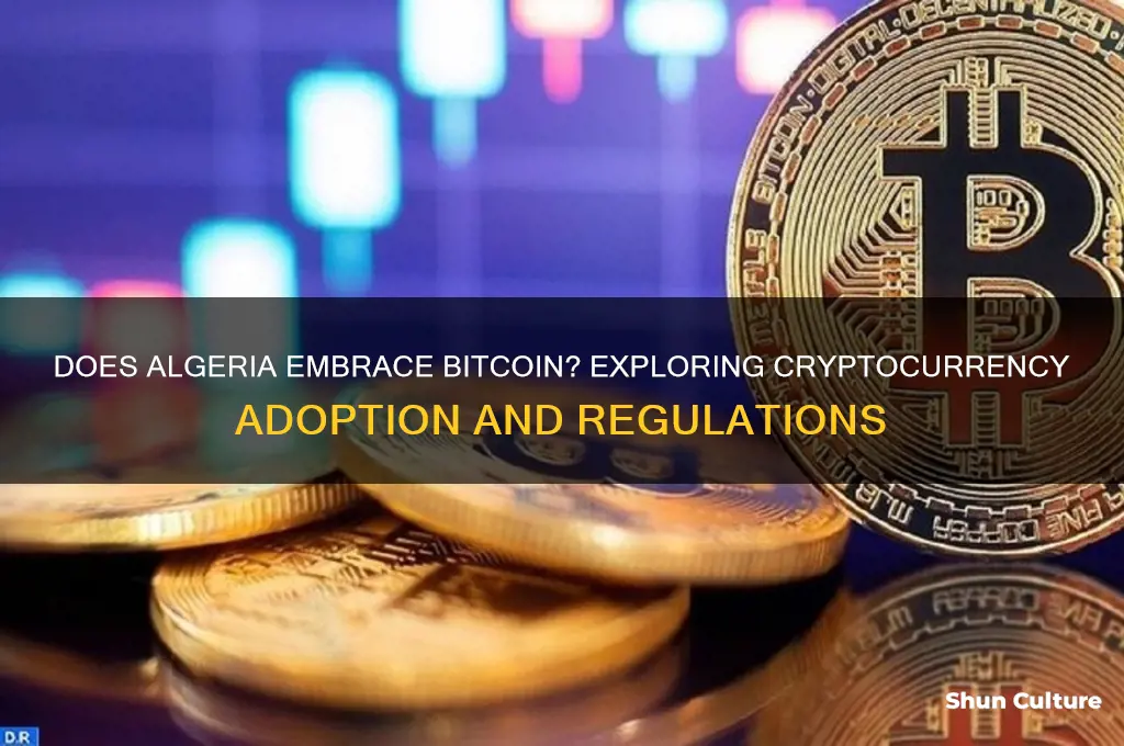 does algeria use bitcoin
