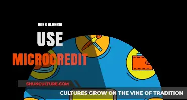 Microcredit in Algeria: Impact, Challenges, and Economic Opportunities Explored