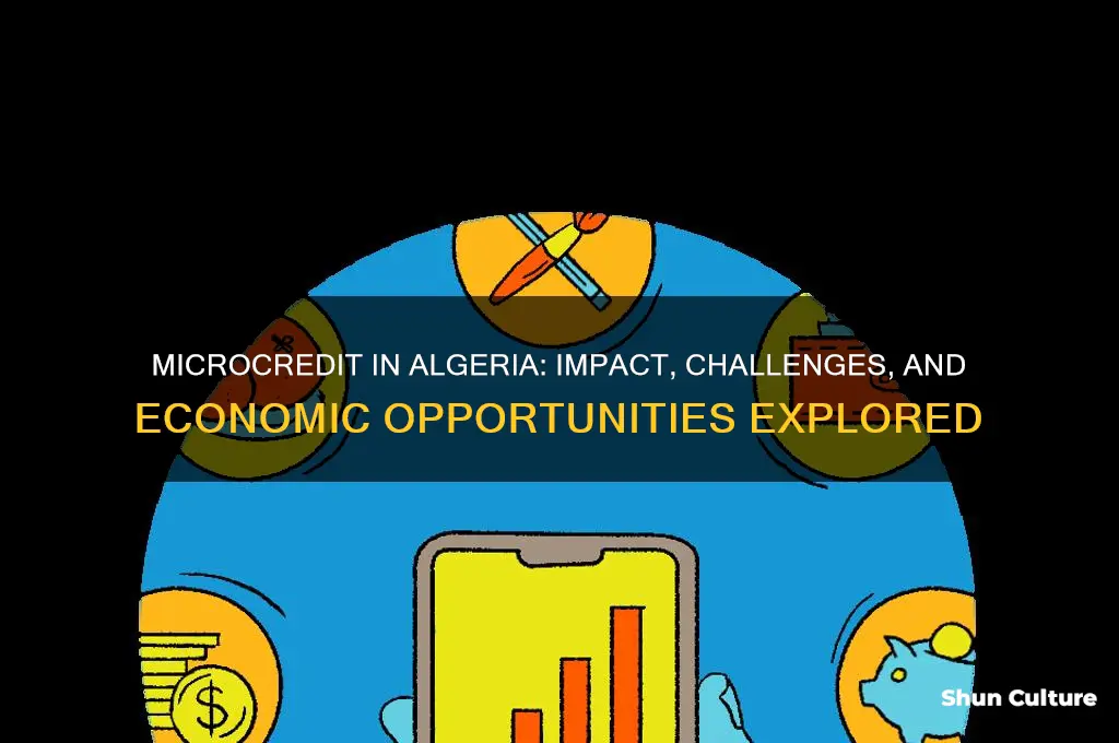 does algeria use microcredit