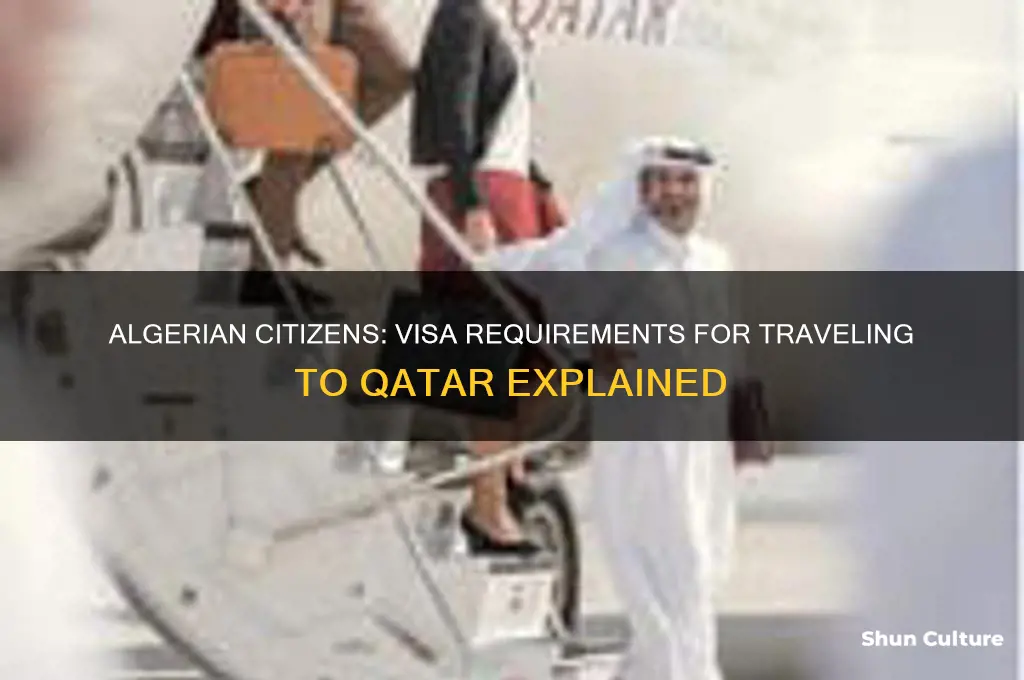 does algerian need visa to qatar