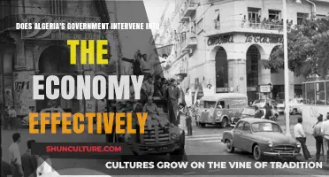 Algeria's Economic Intervention: Effective Governance or Misguided Control?