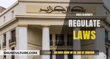 Algeria's Regulatory Framework: Understanding the Country's Legal Landscape
