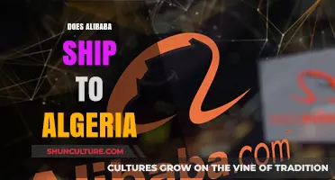 Alibaba Shipping to Algeria: What You Need to Know