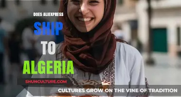 Does AliExpress Deliver to Algeria? Shipping Options Explained