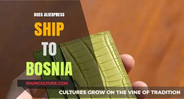 Does AliExpress Deliver to Bosnia? Shipping Details and Tips