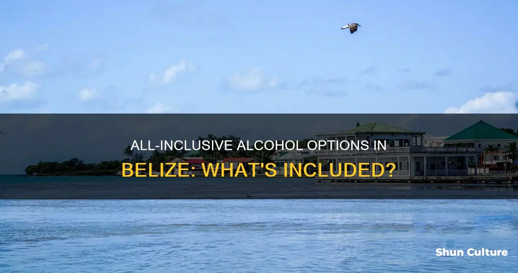 does all inclusive include alcohol belize