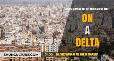 Bangladesh's Geography: Delta Dominance and Its Impact on the Nation