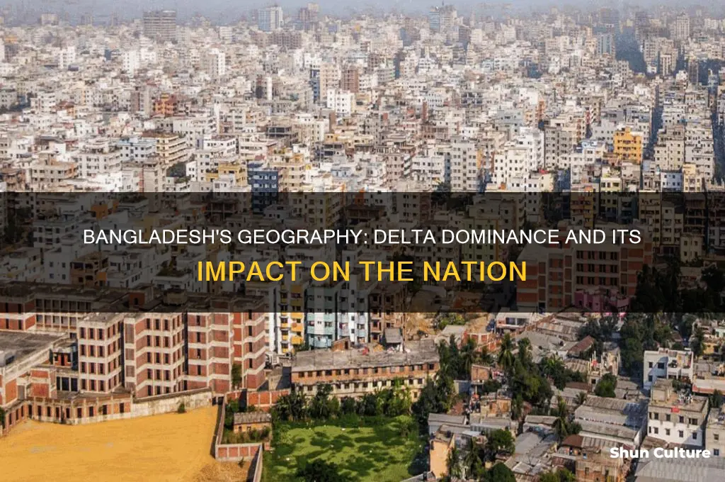 does almost all of bangladesh line on a delta