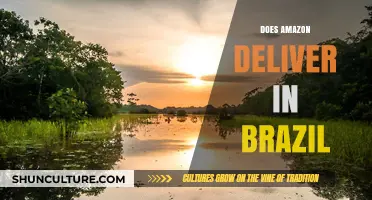 Amazon Delivery in Brazil: Availability, Services, and What to Expect