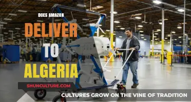 Amazon Delivery to Algeria: Availability, Shipping Options, and Costs Explained