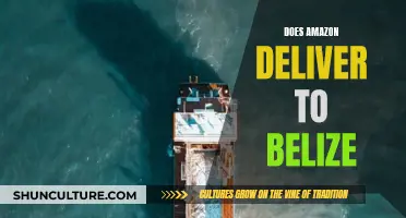 Amazon Shipping to Belize: Is It Possible?