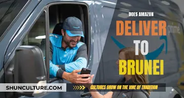 Amazon's Delivery Destinations: Does Brunei Make the Cut?