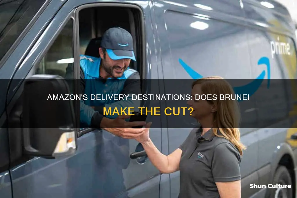 does amazon deliver to brunei