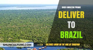 Amazon Prime Delivery in Brazil: Availability, Services, and Shipping Details