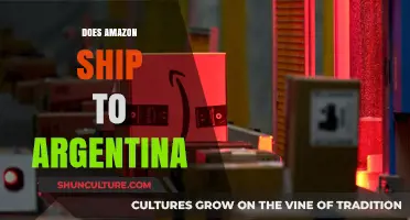 Exploring Amazon's Shipping Options to Argentina: A Comprehensive Guide