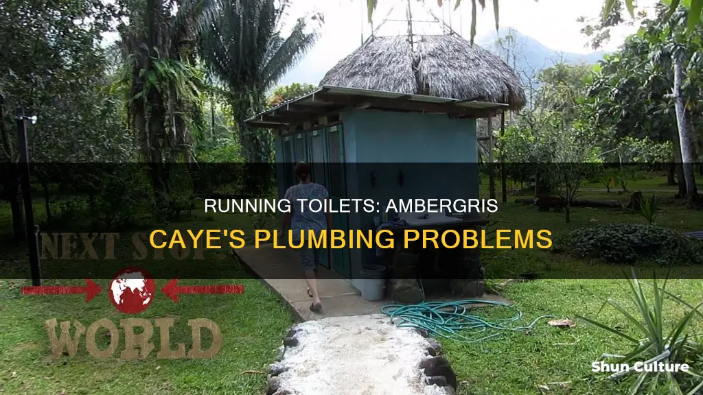 does ambergris caye belize have a running toilet