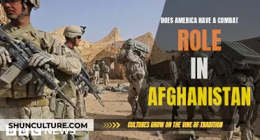 America's Evolving Role in Afghanistan: From Combat to Support