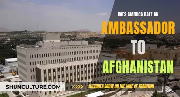 The Complex Diplomatic Dance: America's Ambassadorial Absence in Afghanistan