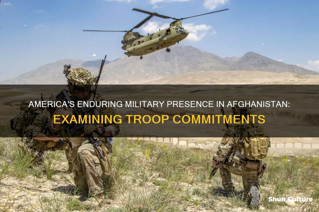 does america have the most troops invested in afghanistan