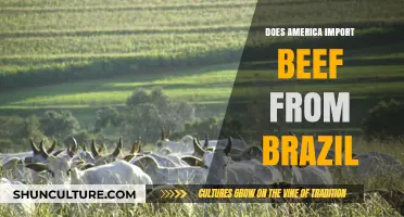 Does America Import Beef from Brazil? Exploring Trade Dynamics