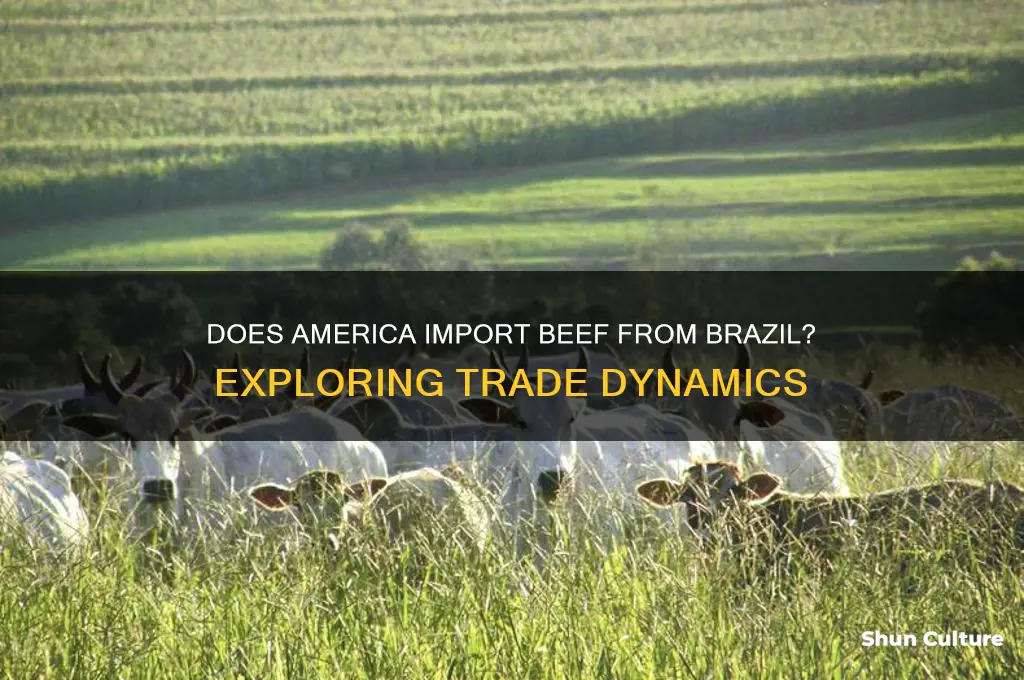 does america import beef from brazil