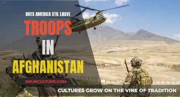 The Lingering Military Presence: America's Troops in Afghanistan