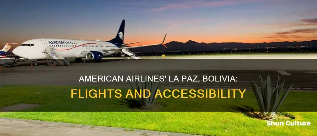 does american airlines fly into la paz bolivia