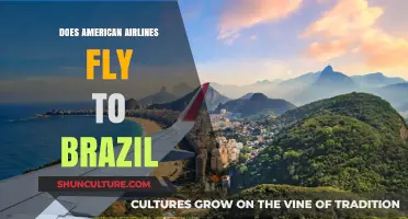 Does American Airlines Fly to Brazil? Routes and Destinations Explained