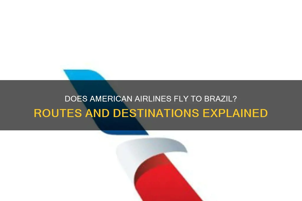 does american airlines fly to brazil
