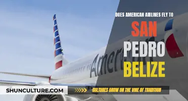 American Airlines: Belize's San Pedro Direct Flights