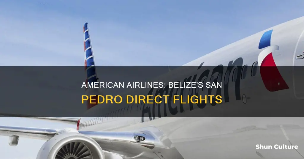 does american airlines fly to san pedro belize