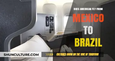 American Airlines Flights: Mexico to Brazil Route Availability Explored