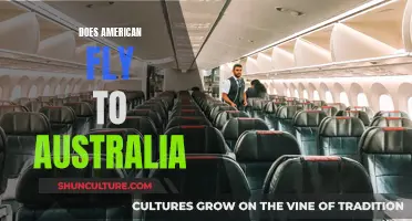 American Airlines: Flying to Australia?