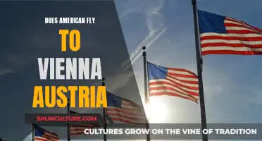 American Airlines: Flying to Vienna, Austria?