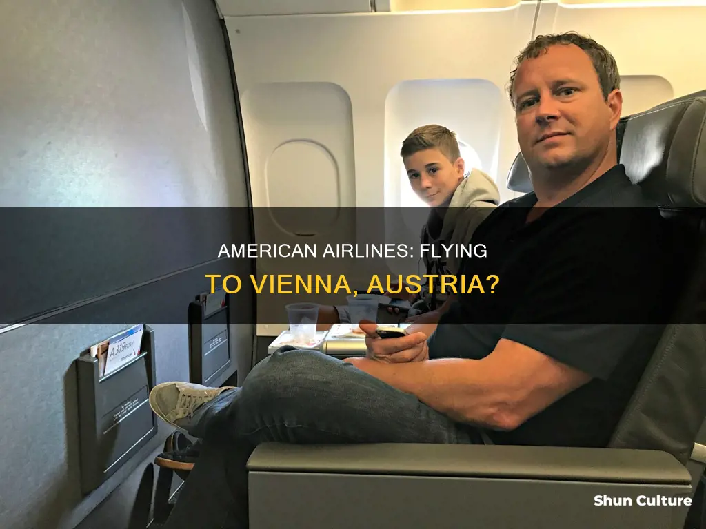 does american fly to vienna austria