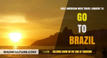 Do Americans Need Travel Consent to Visit Brazil? A Guide