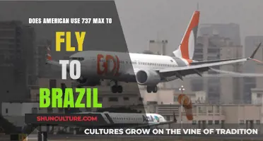 American Airlines' 737 MAX Flights to Brazil: What You Need to Know