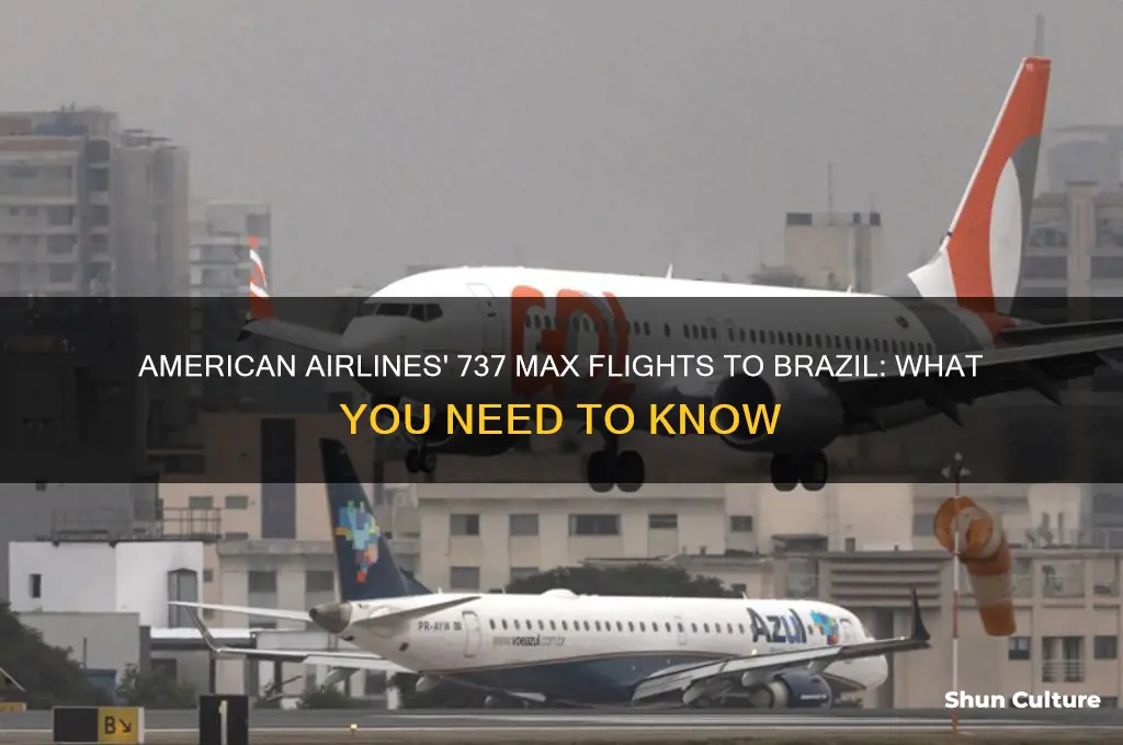 does american use 737 max to fly to brazil