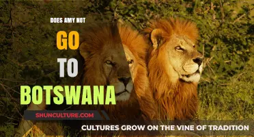 Does Amy Skip Botswana? Unraveling the Mystery of Her Travel Plans