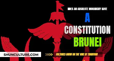 Absolute Monarchy and Constitution: The Brunei Conundrum