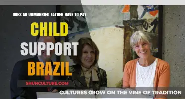 Unmarried Fathers and Child Support in Brazil: Legal Obligations Explained