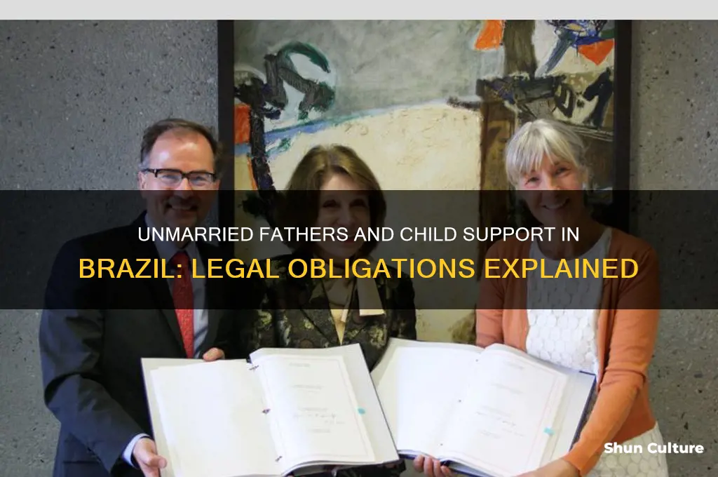 does an unmarried father have to pay child support brazil