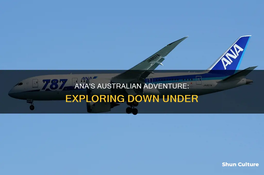 does ana fly to australia