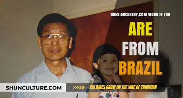 Exploring Ancestry.com: Uncovering Brazilian Roots and Family History