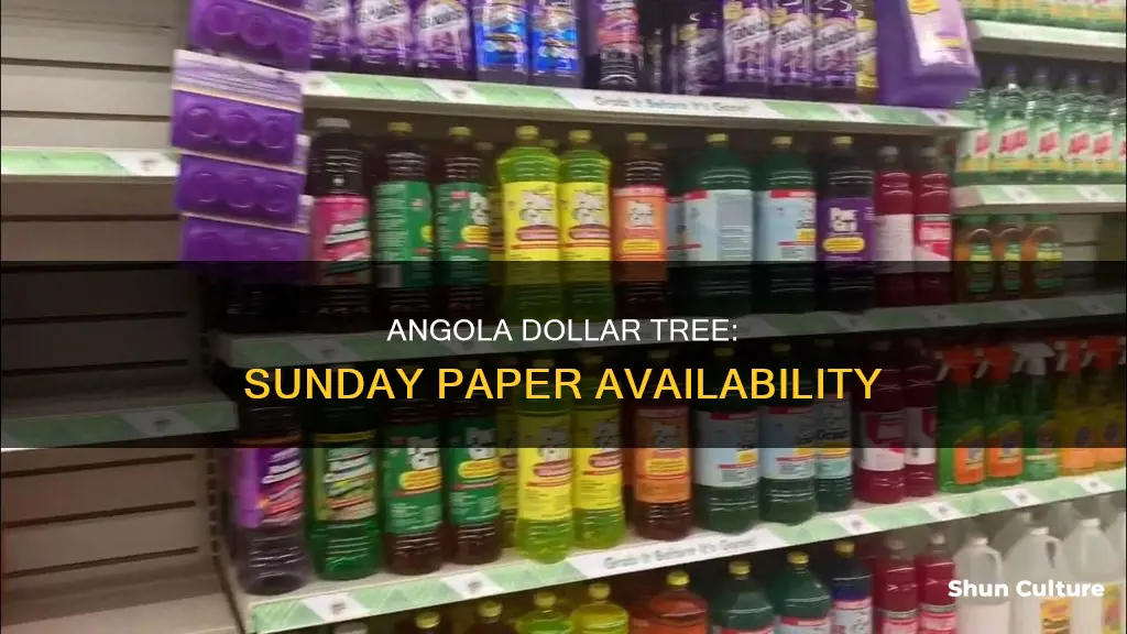 does angola dollar tree sell sunday paper